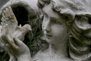 Angel with Bird