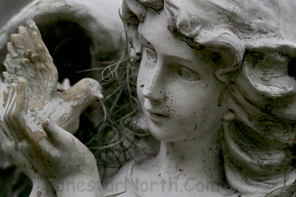 Angel with Bird