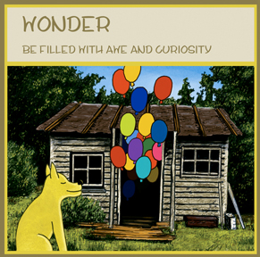 Wonder
